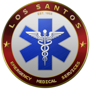 LSMS